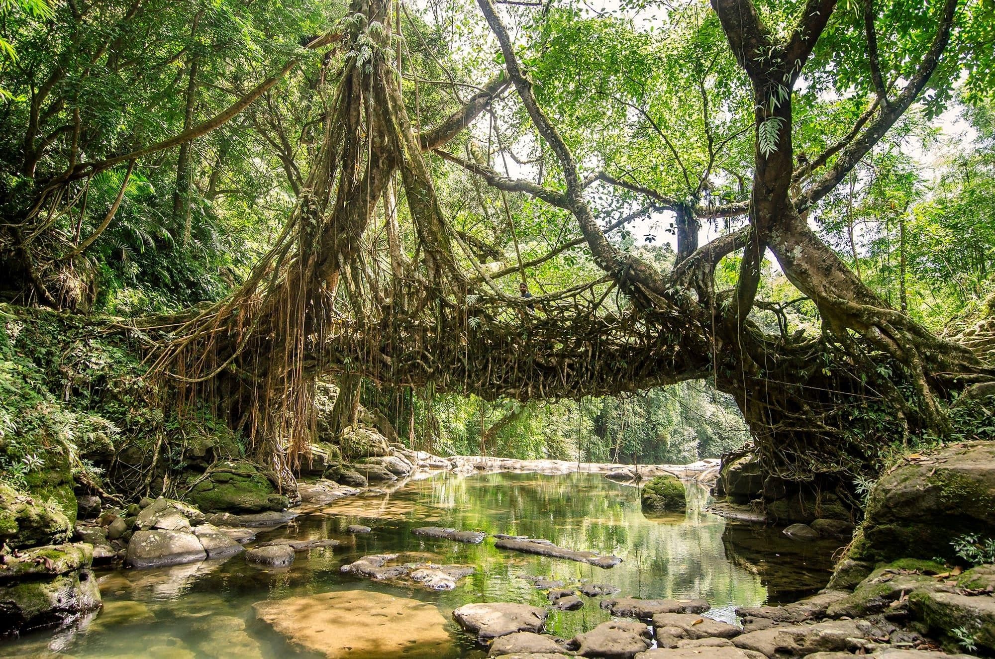 Meghalaya
