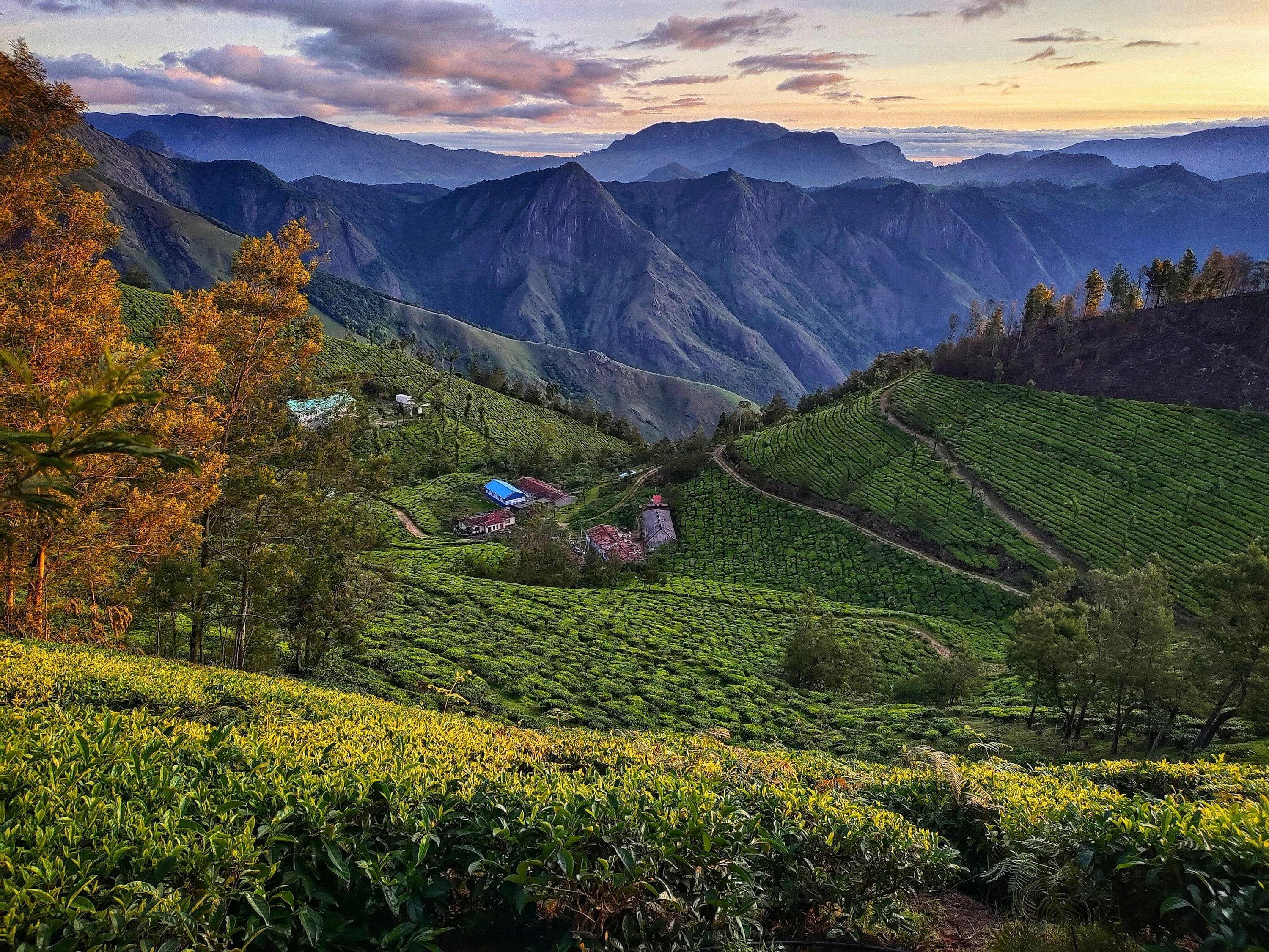 Kerala Escape