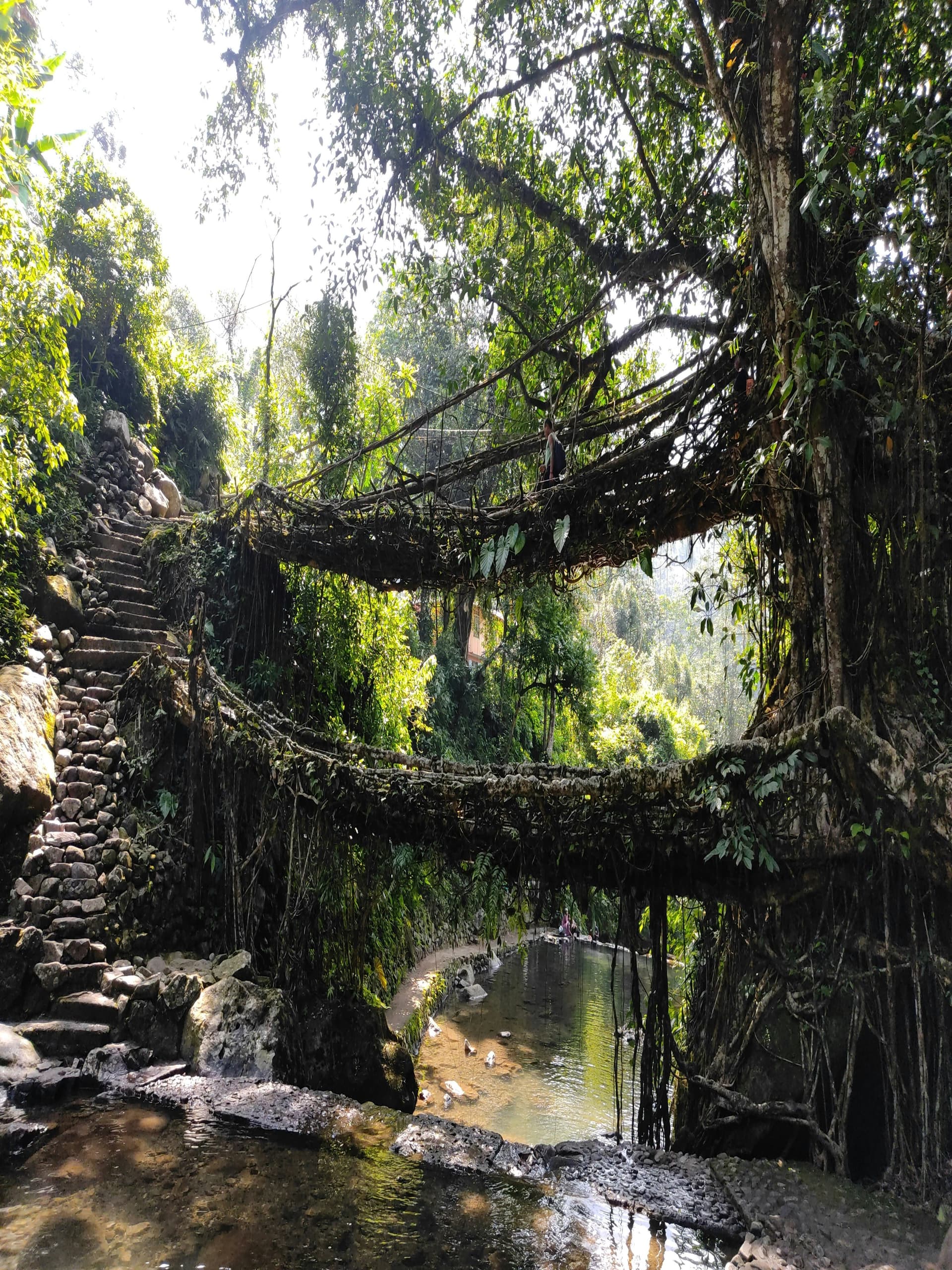 About Cherrapunji