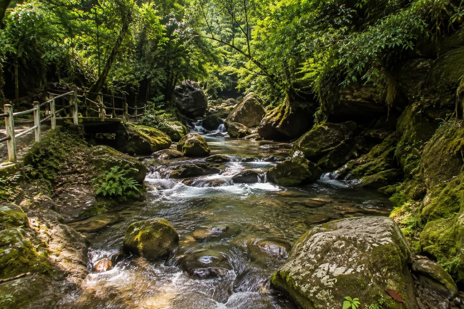Garden of Caves 1