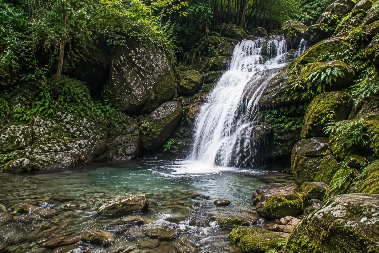 Garden of Caves 2