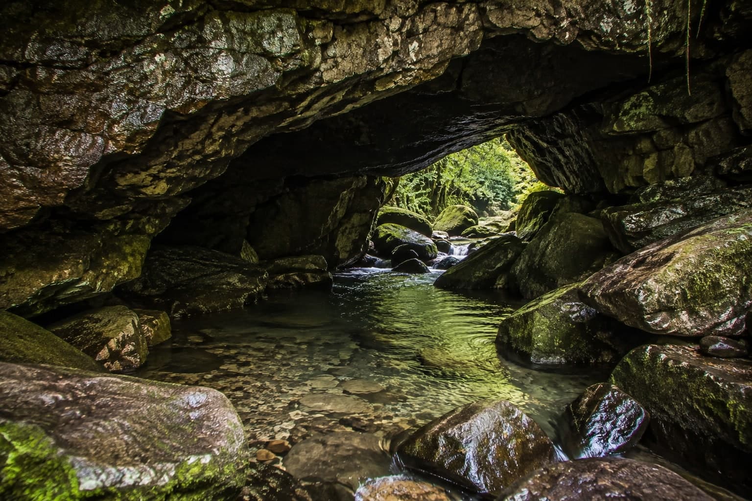 Garden of Caves 3