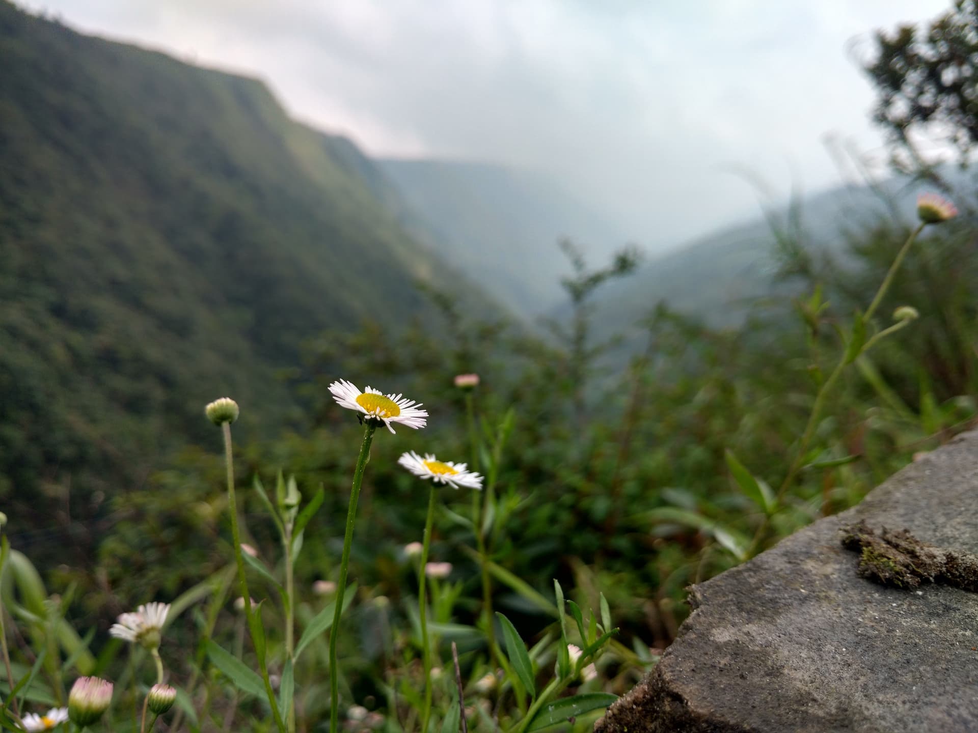 About Mawkdok Valley