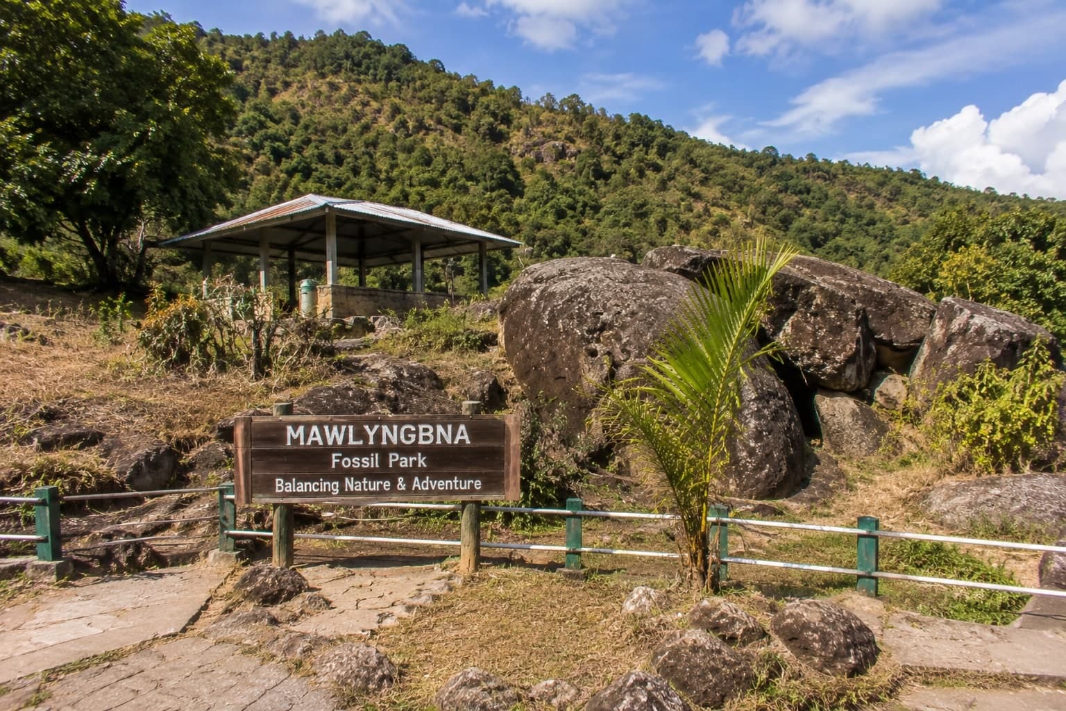 About Mawlyngbna
