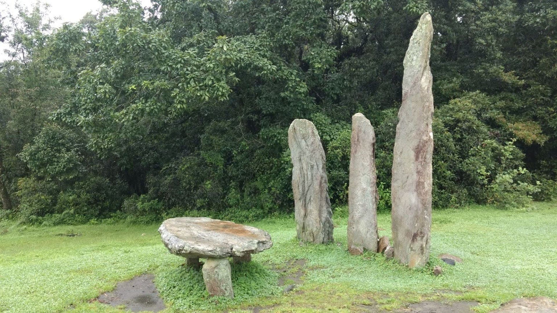 Mawphlang Forest 3