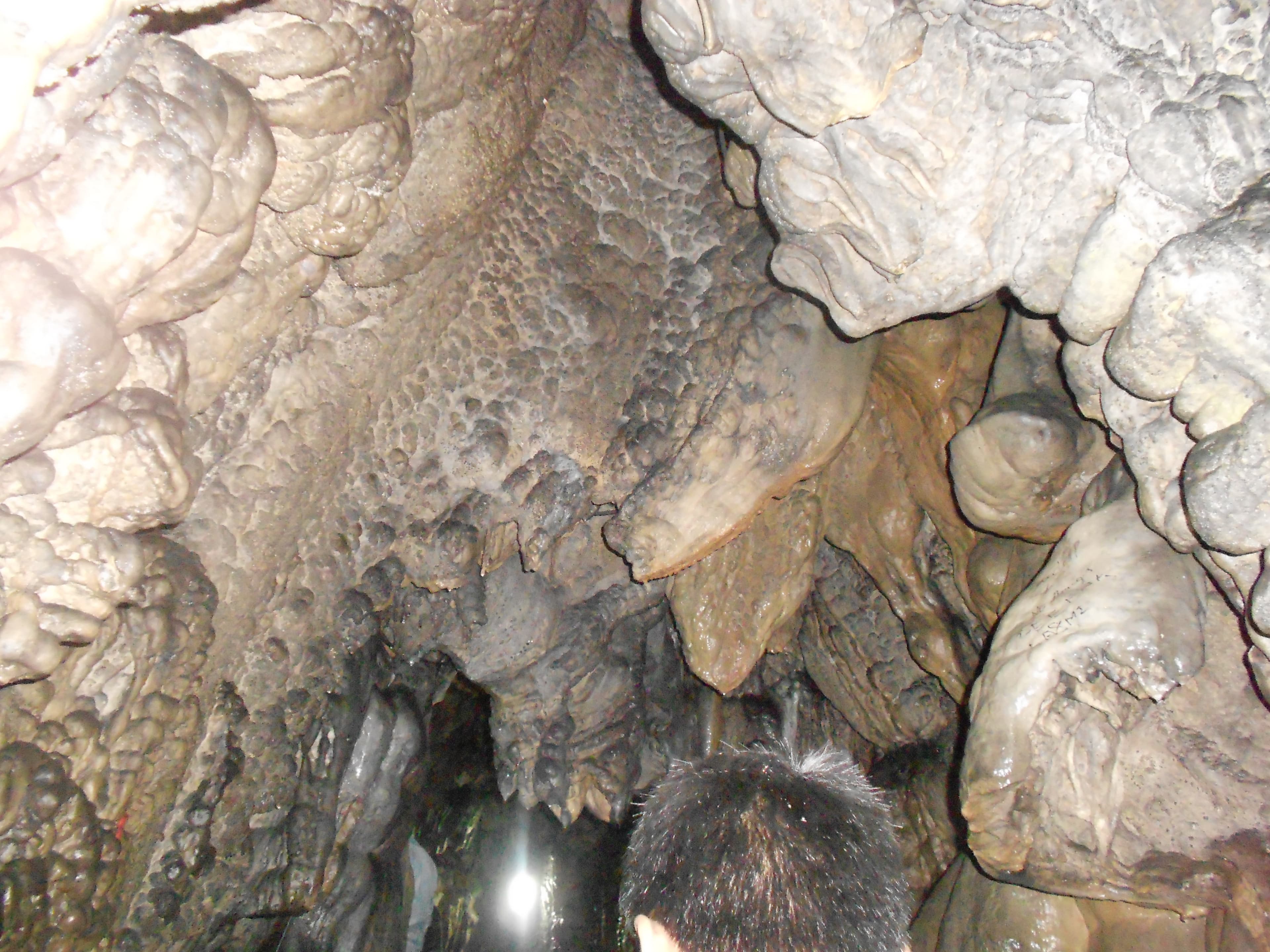 Mawsmai Cave 1