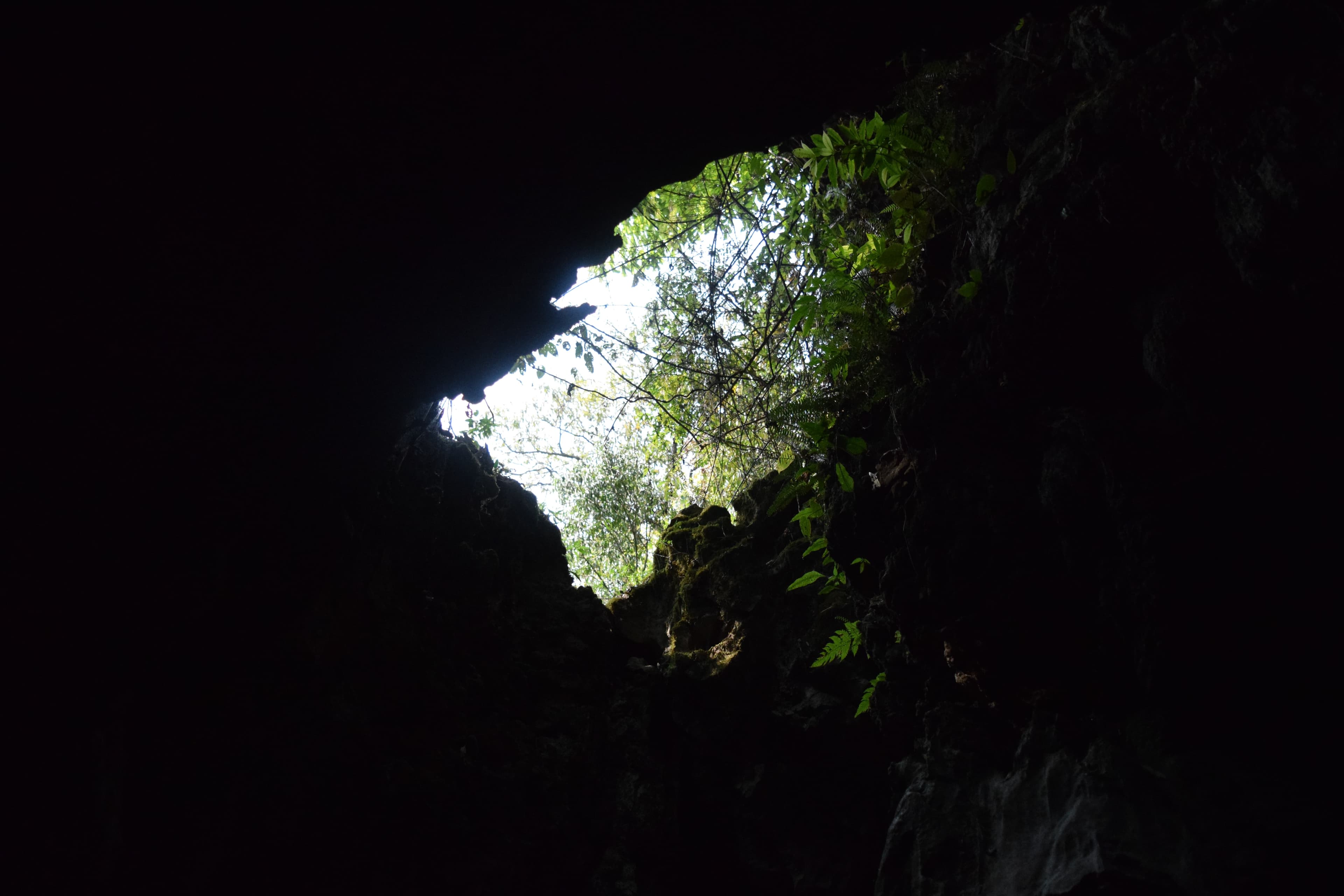 Mawsmai Cave 3