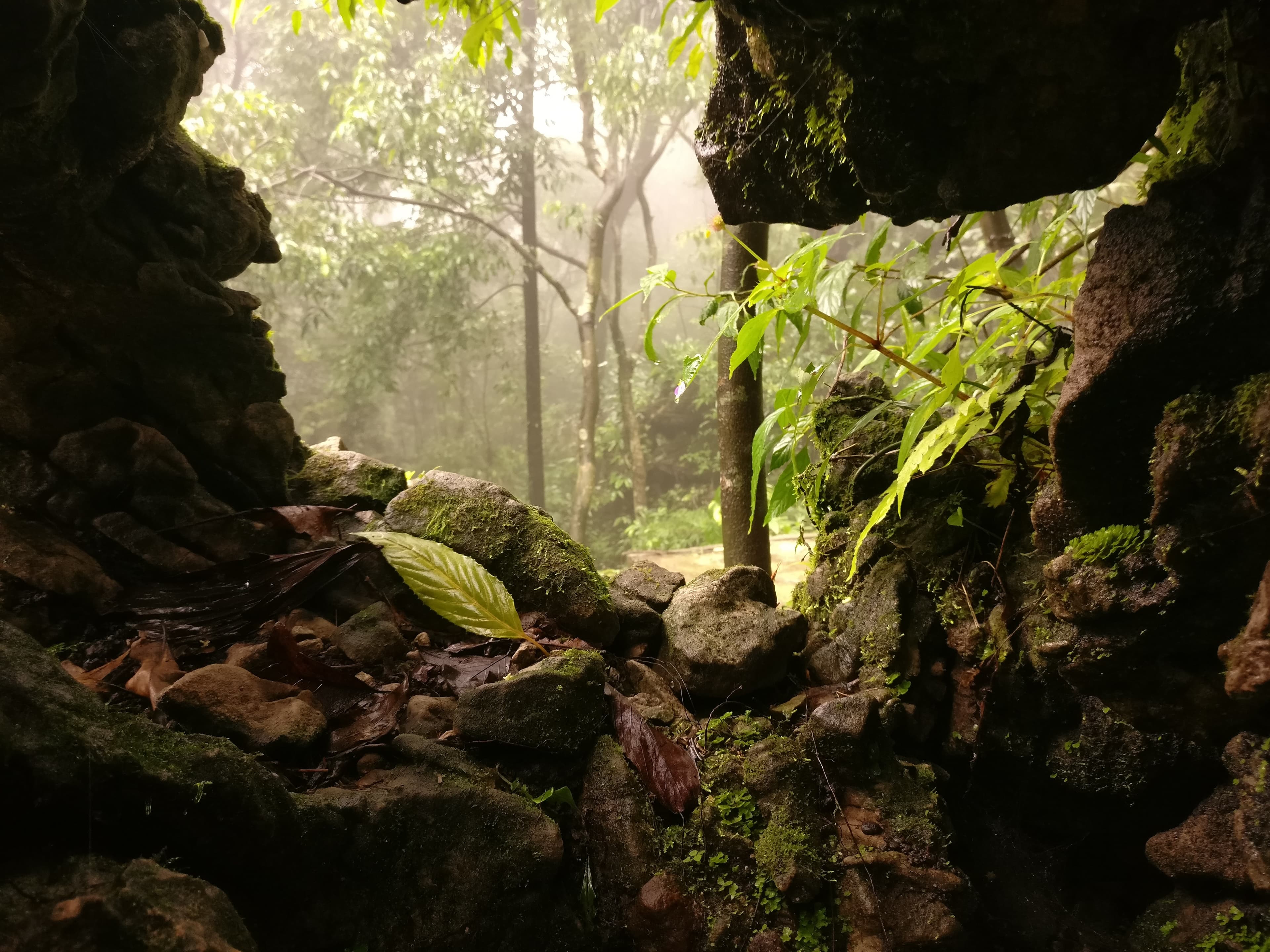 Mawsmai Cave 4