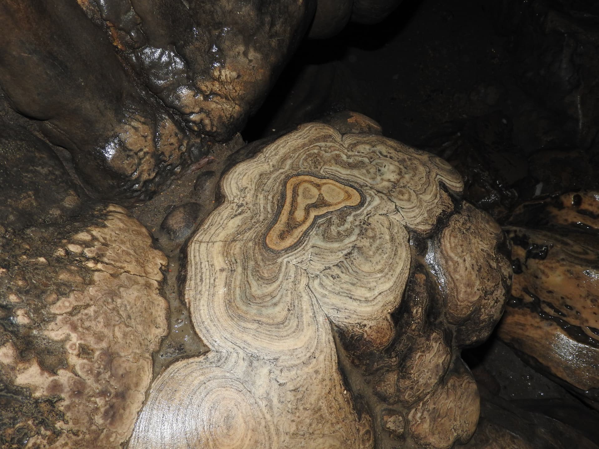 Mawsmai Cave