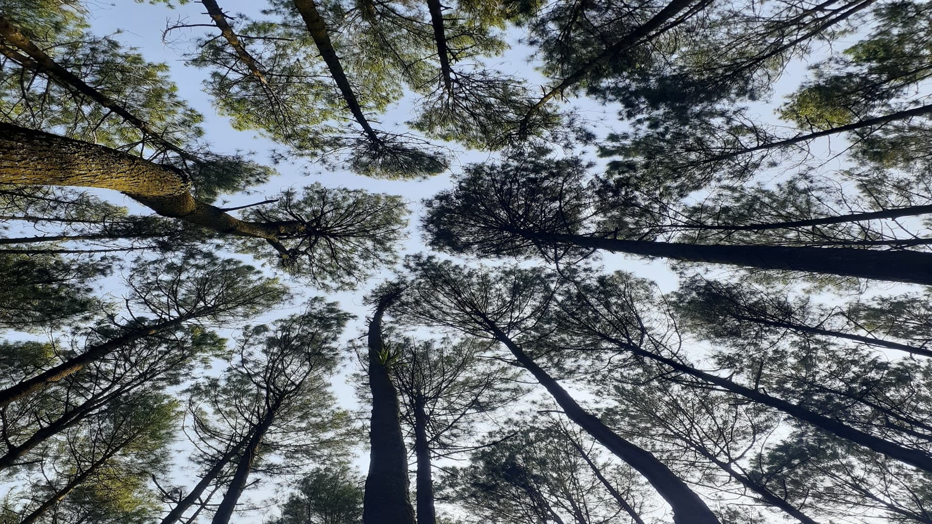 About Shillong