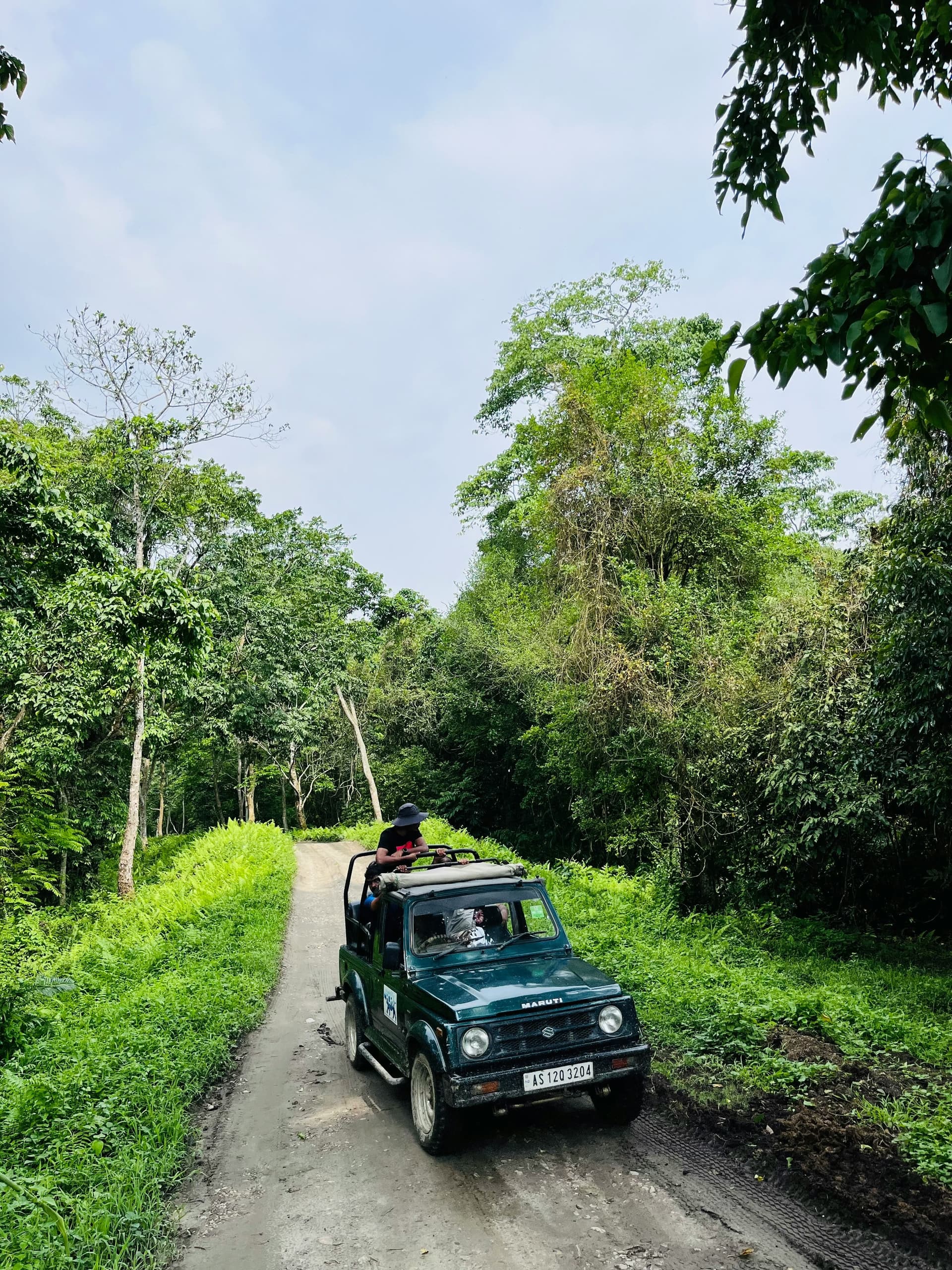 Kaziranga National Park